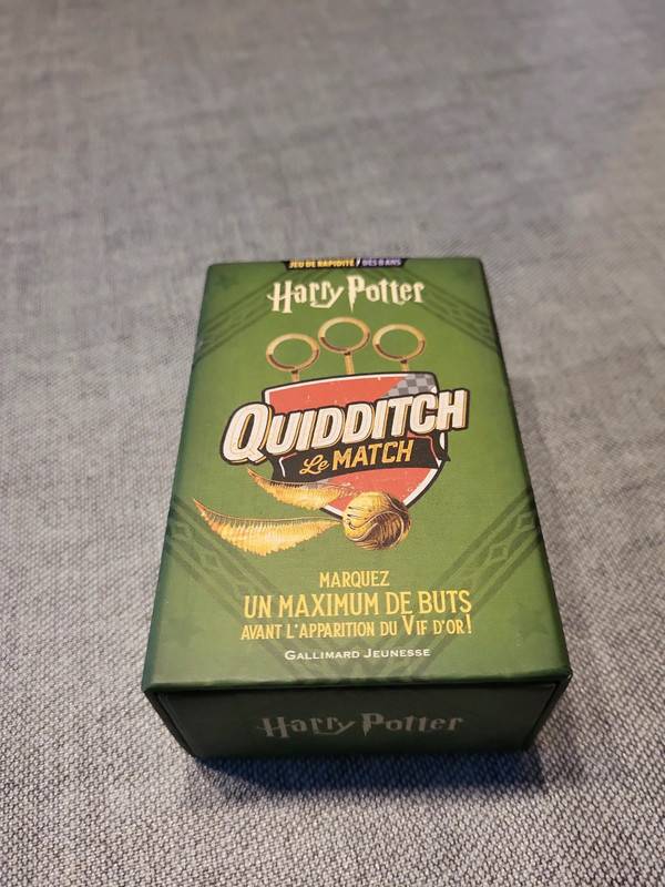 Harry Potter - Quidditch le match